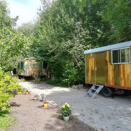 Villa Vegawagen Psyche, Een Sprookje In Coevorden Exterior foto