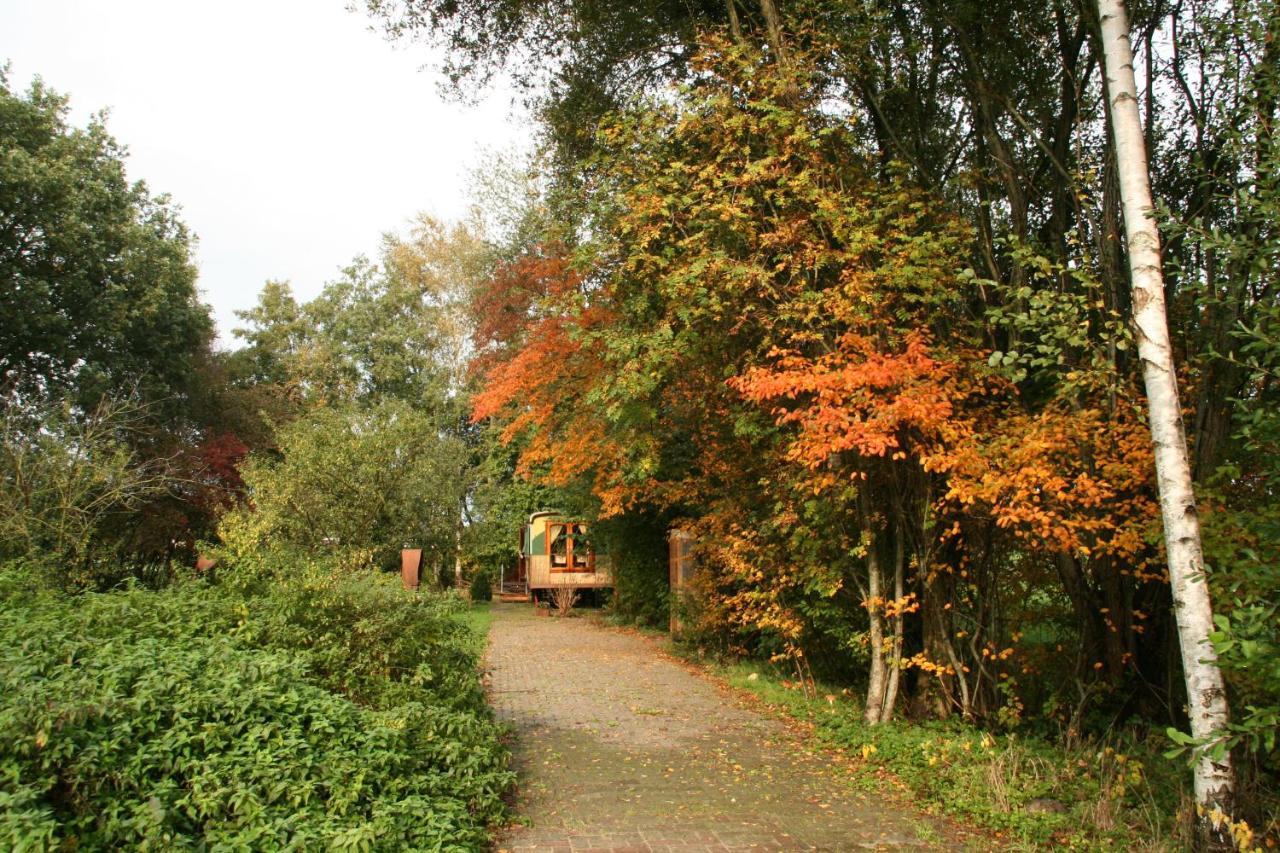 Villa Vegawagen Psyche, Een Sprookje In Coevorden Exterior foto