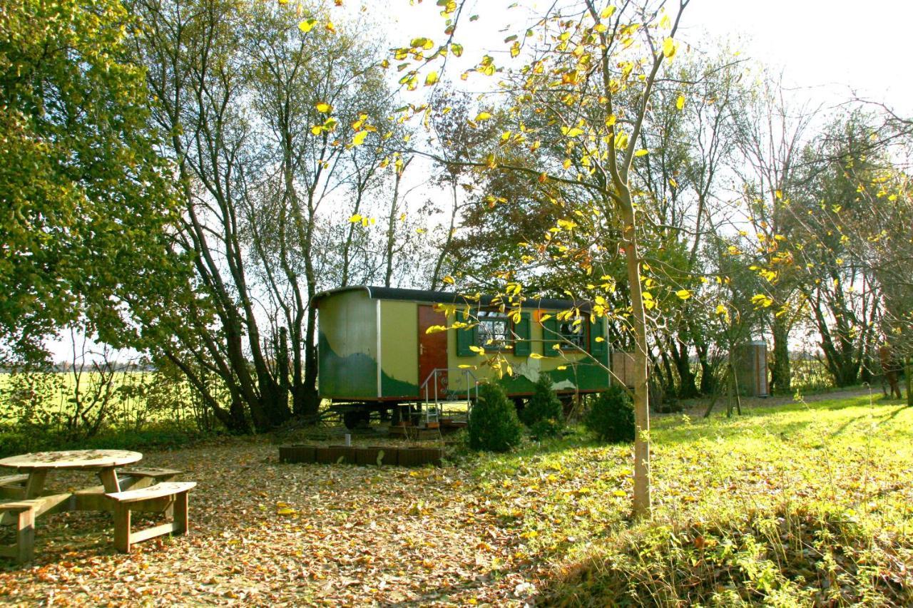 Villa Vegawagen Psyche, Een Sprookje In Coevorden Exterior foto