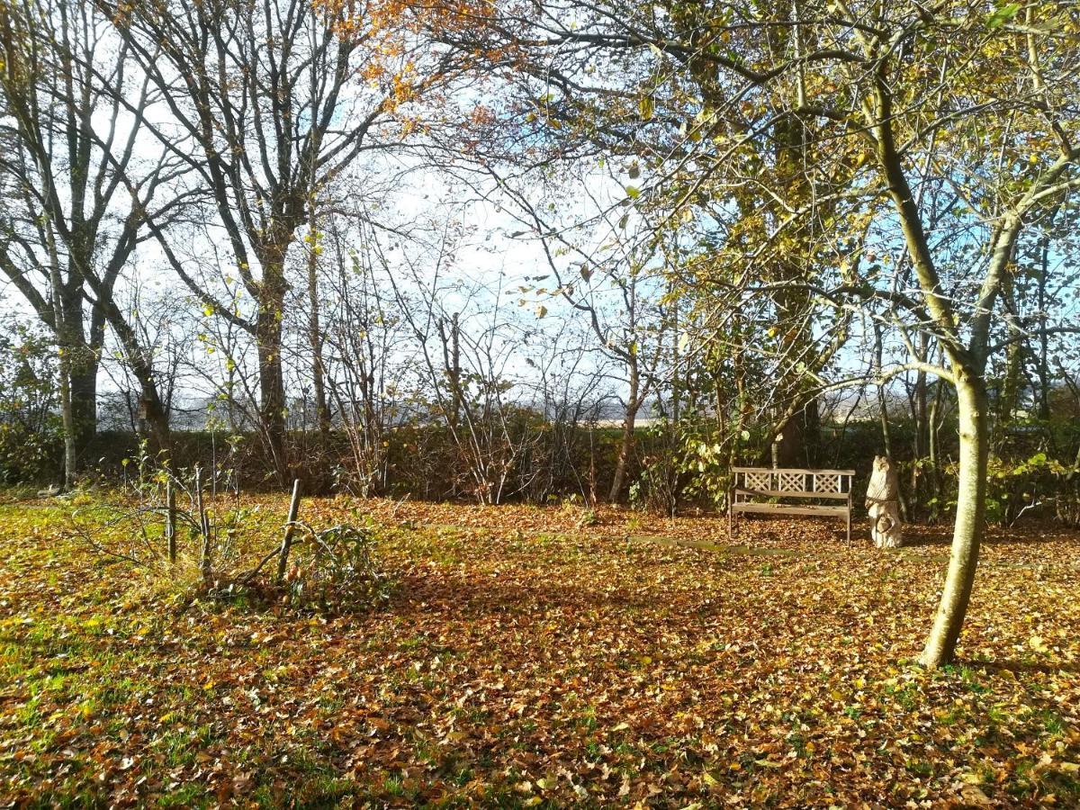 Villa Vegawagen Psyche, Een Sprookje In Coevorden Exterior foto