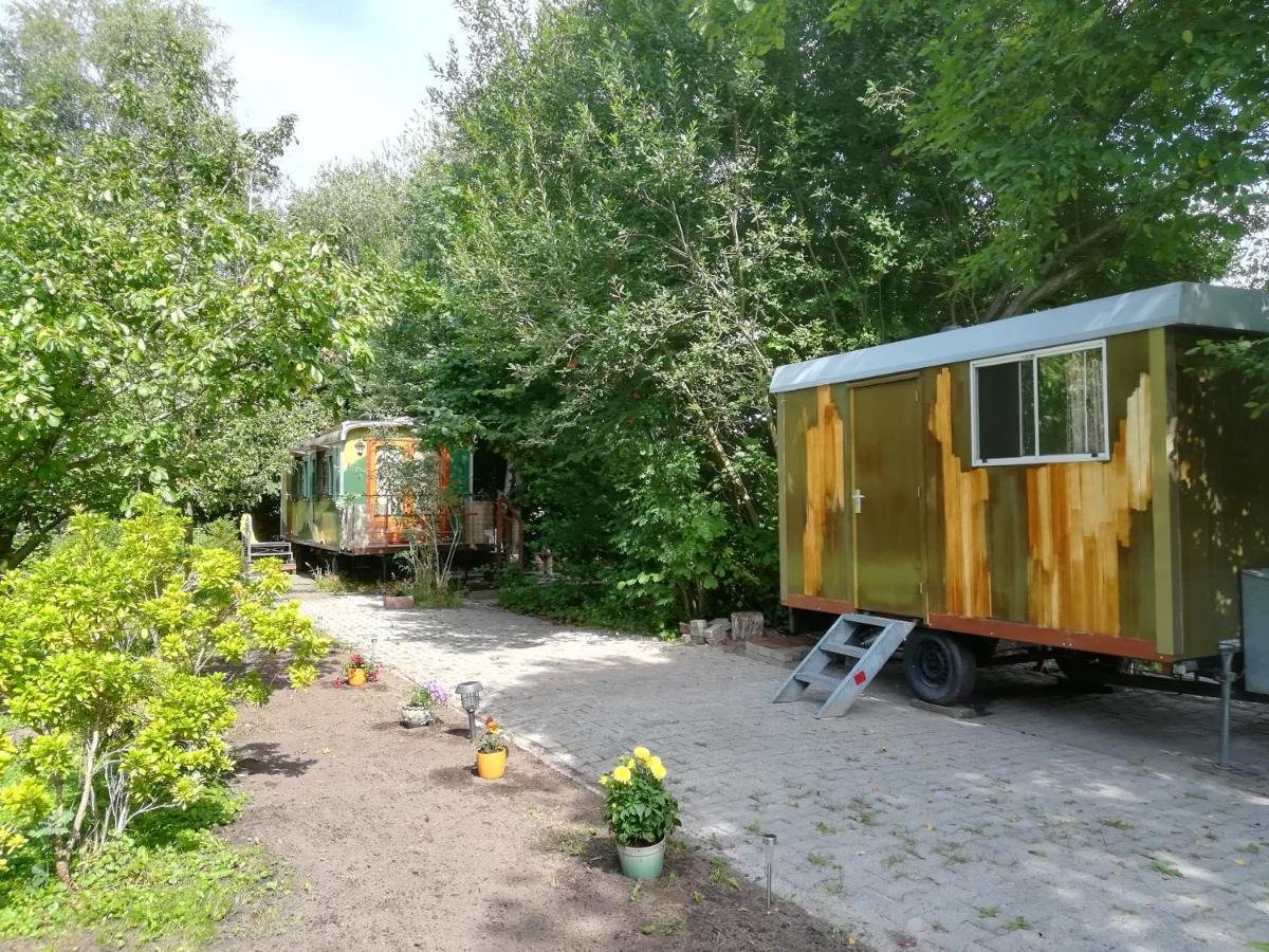 Villa Vegawagen Psyche, Een Sprookje In Coevorden Exterior foto