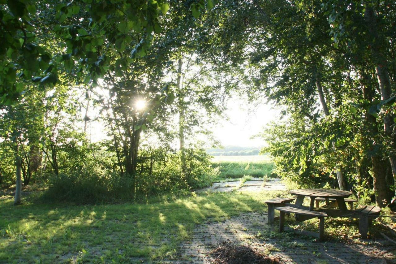 Villa Vegawagen Psyche, Een Sprookje In Coevorden Exterior foto