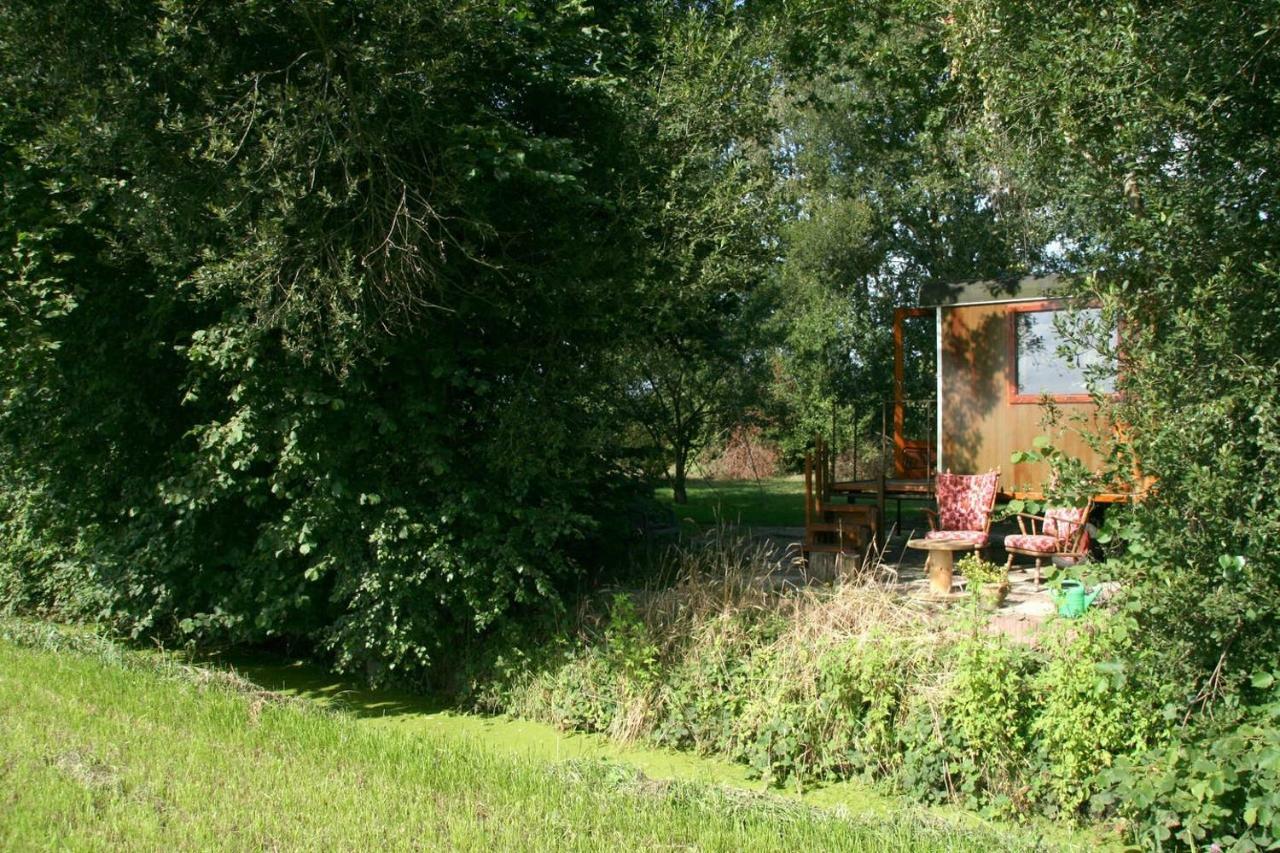 Villa Vegawagen Psyche, Een Sprookje In Coevorden Exterior foto