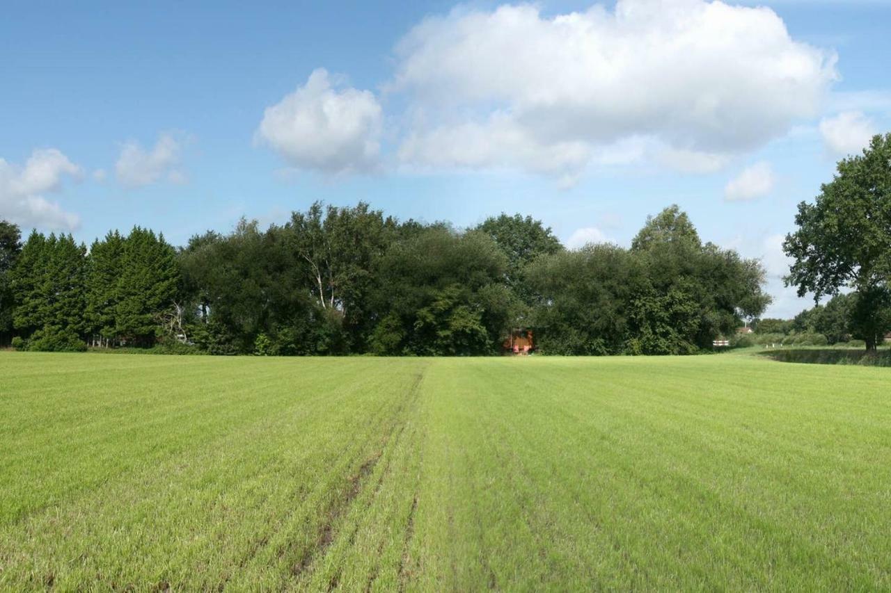 Villa Vegawagen Psyche, Een Sprookje In Coevorden Exterior foto