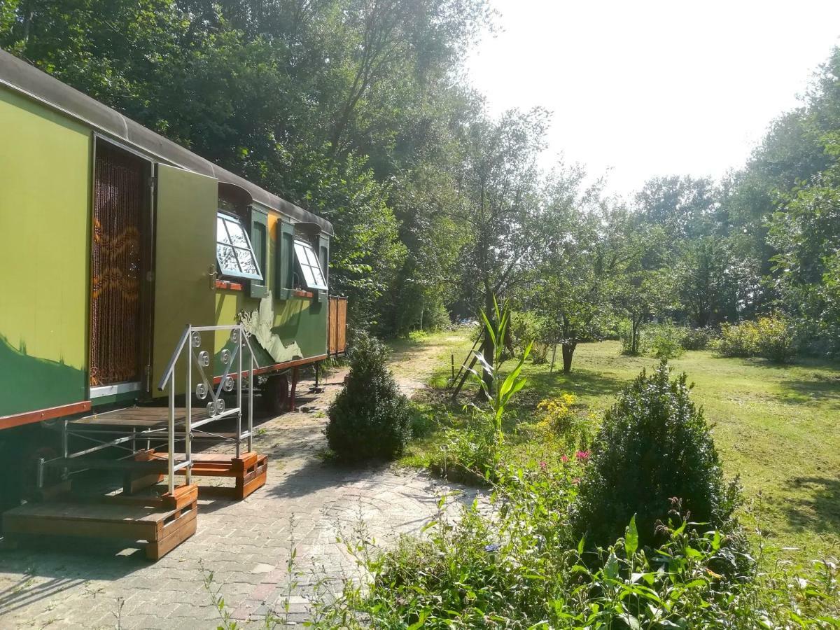 Villa Vegawagen Psyche, Een Sprookje In Coevorden Exterior foto