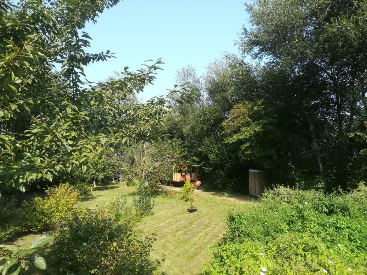 Villa Vegawagen Psyche, Een Sprookje In Coevorden Exterior foto